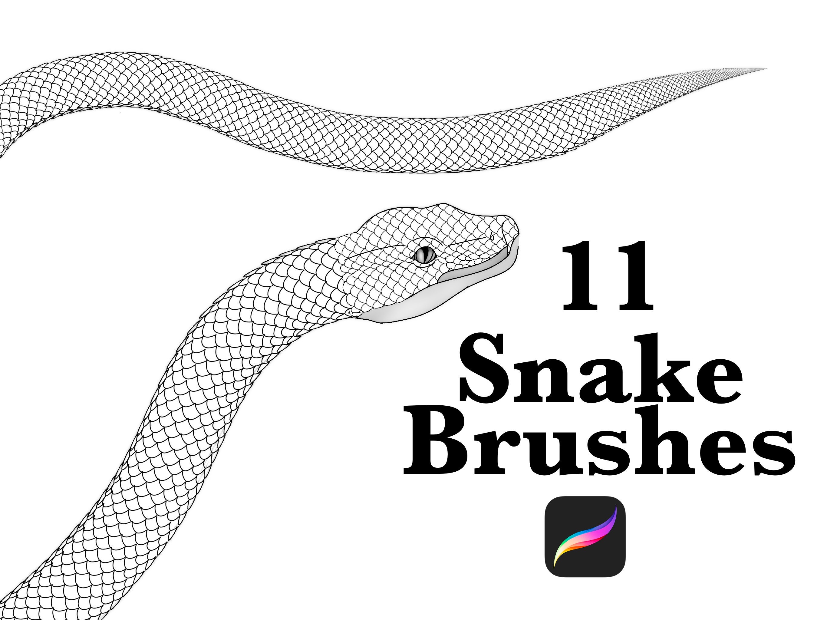 free snake procreate brushes