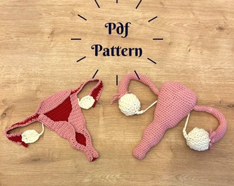 Crochet Uterus Pattern, Model of Uterus Structure, Education Materials for Midwife, Crochet Anatomy Pattern