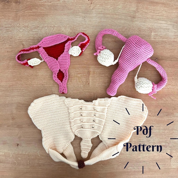 Crochet Pelvis and Uterus Pattern, Model of Uterus Structure, Female Pelvis and Sacrum Model, Midwifery Education Materials, Crochet Anatomy