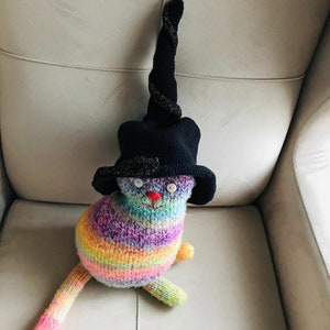 Può includere: Un gatto di lana colorato che indossa un cappello da strega nero con un lungo bordo arricciato. Il gatto ha occhi bianchi e un naso rosso.