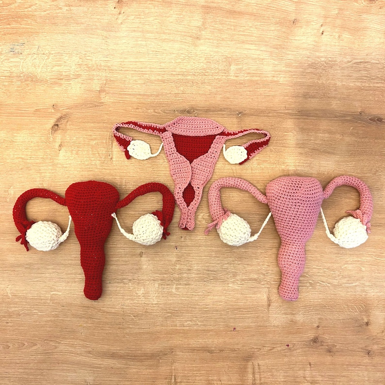 Crochet Uterus Pattern Model of Uterus Structure Education Etsy