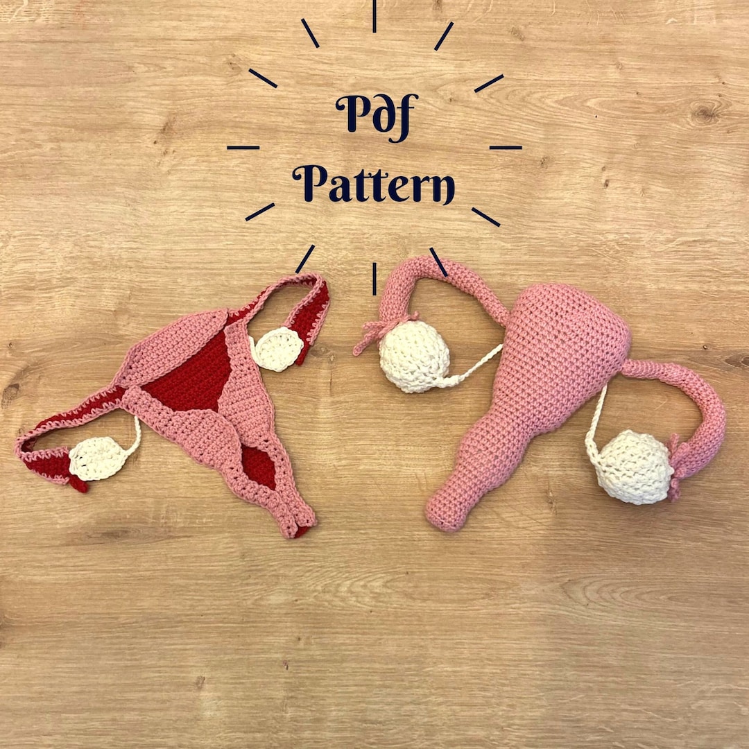 Crochet Uterus Pattern Model of Uterus Structure Education Etsy