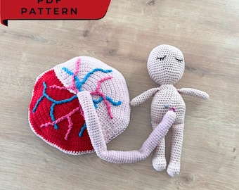 PDF Pattern: Crochet Placenta and Newborn Baby Model Set - Birth Education Doula and Midwife Teaching Tool - Anatomical Amigurumi Set