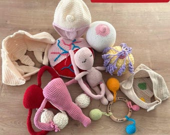 Ultimate PDF Pattern Bundle: 9 Model Crochet Anatomy & Education Tools | Pelvic, Uterus, Breast, Latch and Baby Set for Midwives and Doulas