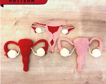 PDF Pattern: Detailed Crochet Uterus Structure Model (27 Pages) | Midwife Teaching Aid | Women's Health & Anatomy Pattern