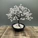 see more listings in the Mini Trees section