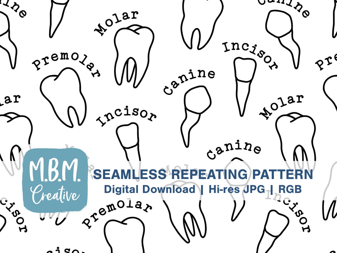 Tooth Types in Black Outlines on White Seamless Repeat Pattern for ...