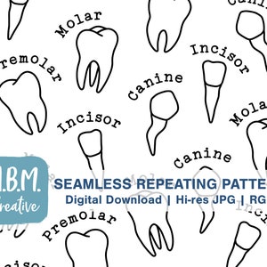 Tooth Types in Black Outlines on White Seamless Repeat Pattern for Commercial Use, Dental Hygienist Dentist Digital Download