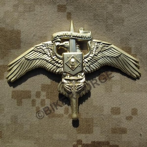 MARSOC Raider Badge with Skull Legacy Pin Gold MOS 0372 MARSOF