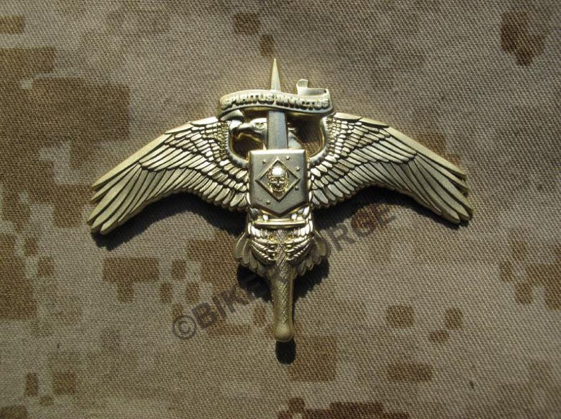 MARSOC Raider Badge With Skull Legacy Pin Gold MOS 0372 MARSOF - Etsy