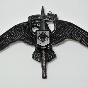 MARSOC Raider Badge with Skull Legacy Pin Subdued Matte Black Critical Skills Operator MOS 0372 MARSOF