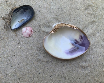 Quahog dish