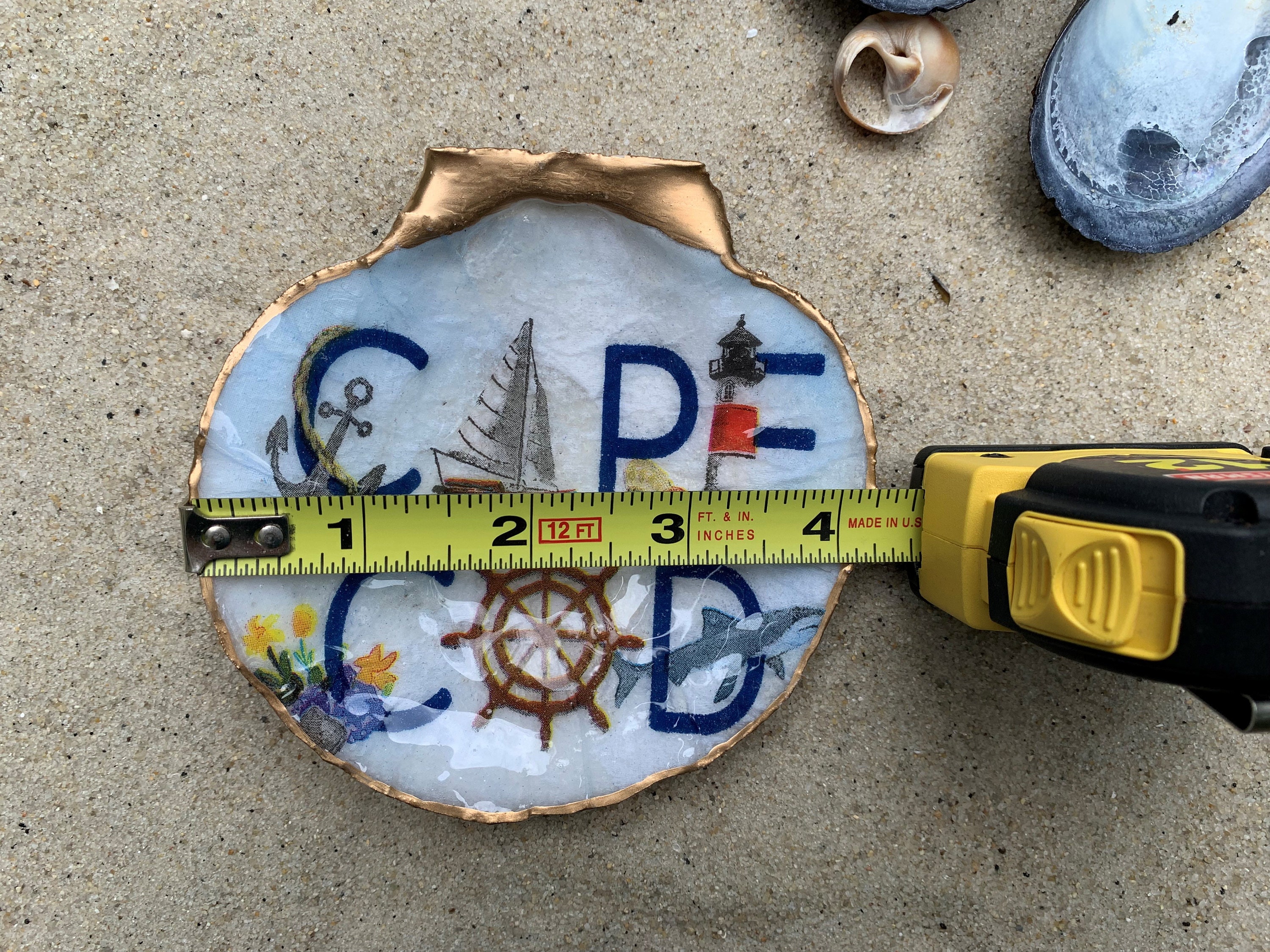 Cape Cod Scallop Etsy