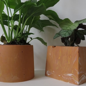 Unique terracotta coloured Jesmonite plant pot