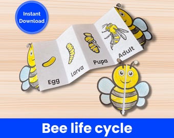 Actividad de aprendizaje sobre el ciclo de vida de las abejas para niños, unidad de estudio sobre las abejas en el aula, ciclo de vida de una abeja, ciclo de vida de los insectos, actividad manual para cortar y colorear.