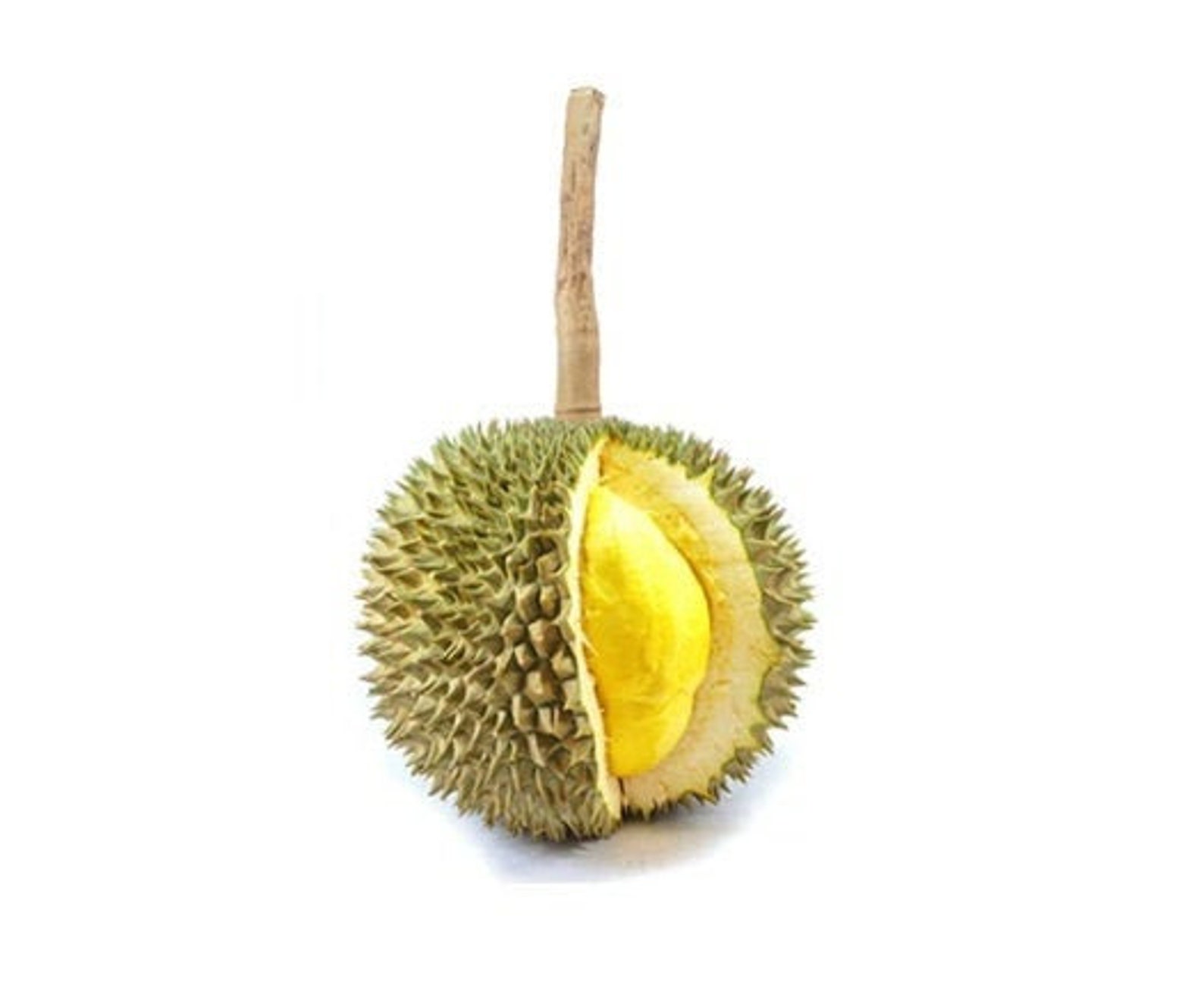 Seasonal Premium Thai Kan Yao Durian taste buttery smooth and Etsy
