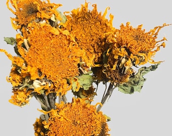 Bundle of 5 Dried Sunflowers, Preserved Flowers, Wedding Bouquet, Sunflower wedding decor, Fall wedding, Yellow dried flowers