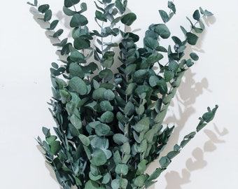 Green Bundle of Spiral Eucalyptus,Eucalyptus tossing petal leaves for flower girl, Home Decor Bohemian Natural Wedding Easter