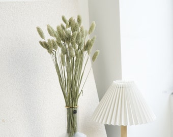 オレンジ色の乾燥ファラリス草 50 本、乾燥野生の花、小さな乾燥花のバルク、素朴な家の装飾