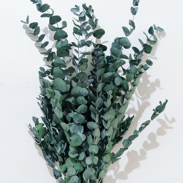 Paquet vert d'eucalyptus en spirale, feuilles de pétales d'eucalyptus pour fille de fleur, décor à la maison Boho naturel mariage Pâques