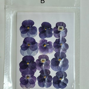 May include: A sheet of dried purple and white pansy flowers, arranged in rows on a white background. The flowers are packaged in a clear plastic bag with the letter "B" printed on the top.