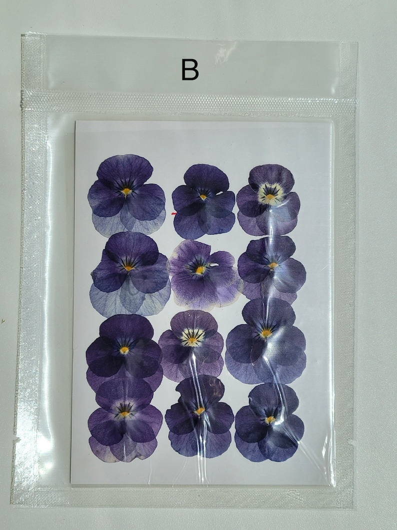May include: A sheet of dried purple and white pansy flowers, arranged in rows on a white background. The flowers are packaged in a clear plastic bag with the letter "B" printed on the top.