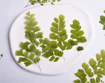 May include: A white ceramic plate with three sprigs of pressed green ferns. The ferns have delicate, heart-shaped leaves.