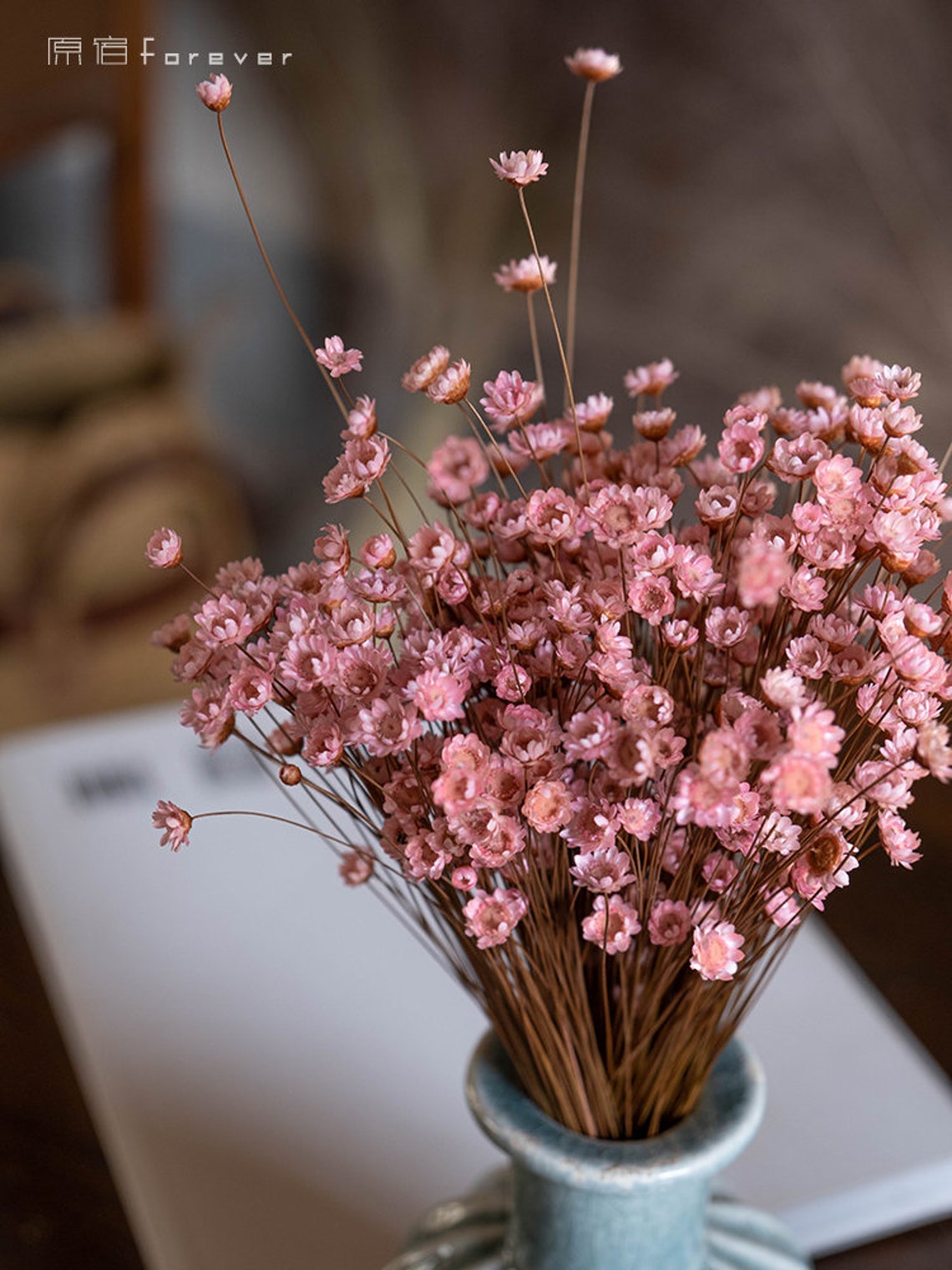 Dried Star Flowers Natural Star Flower Tiny Mini White Etsy