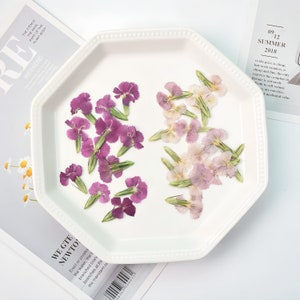 Edible Flowers Collection 1