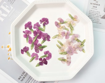 Edible Flowers Collection 1