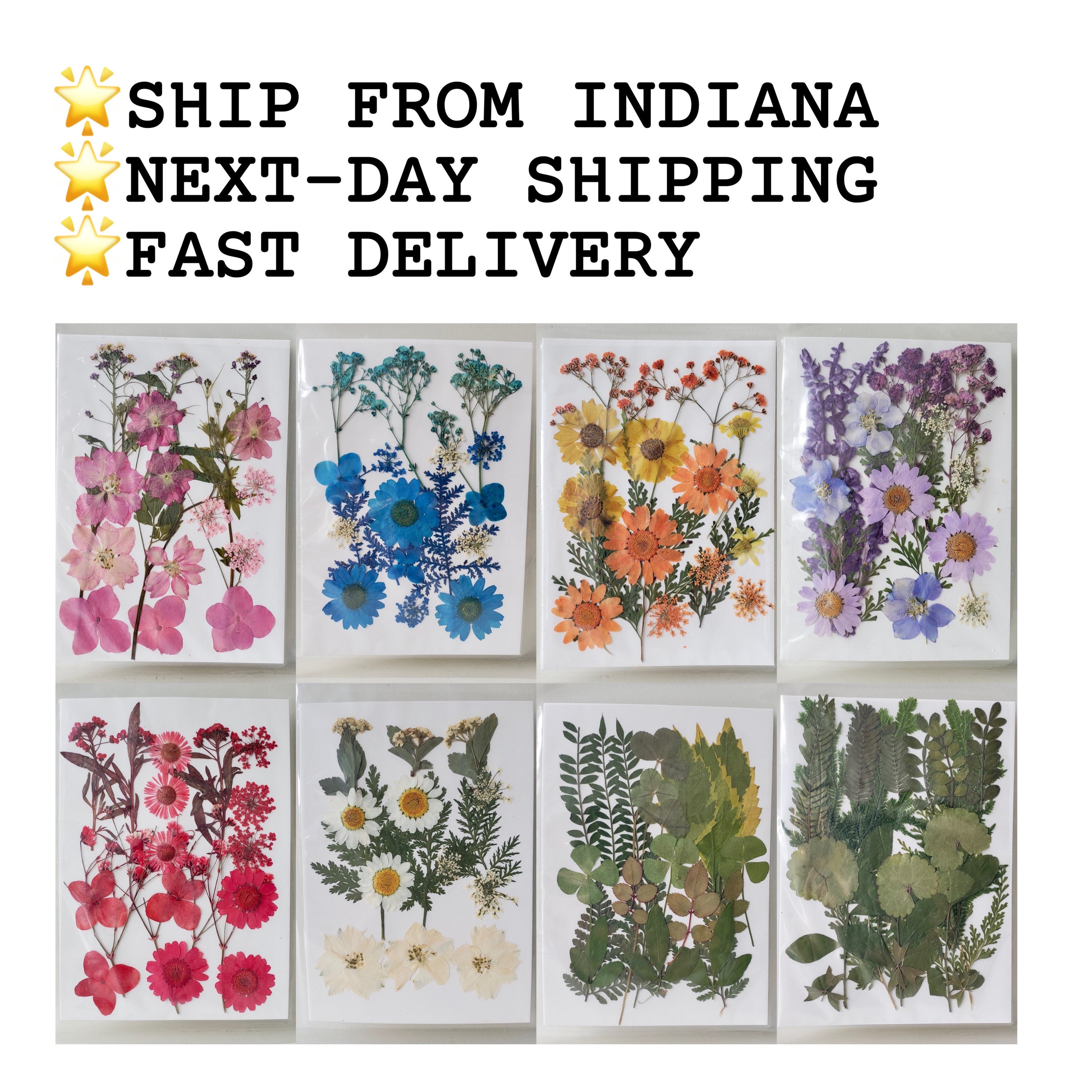 Dried Pressed Flowers for sale 100 ads for used Dried Pressed Flowers