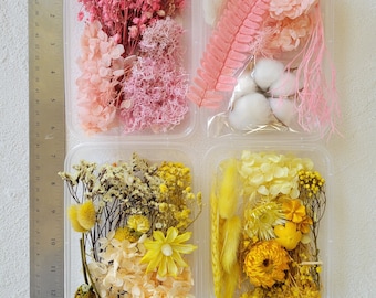 YouthBro - Juego De 140 Flores Secas Prensadas Blancas Con Calcomanías De Mariposa, Juego De Manualidades De Flores De Naturaleza Real Para Resina, Bricolaje, Joyas, Velas, Jarrones, Tarjetas, álbumes