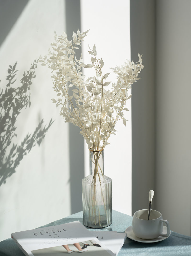 Dried Italian Ruscus White - Wholesale Bulk Flowers - Cascade Floral