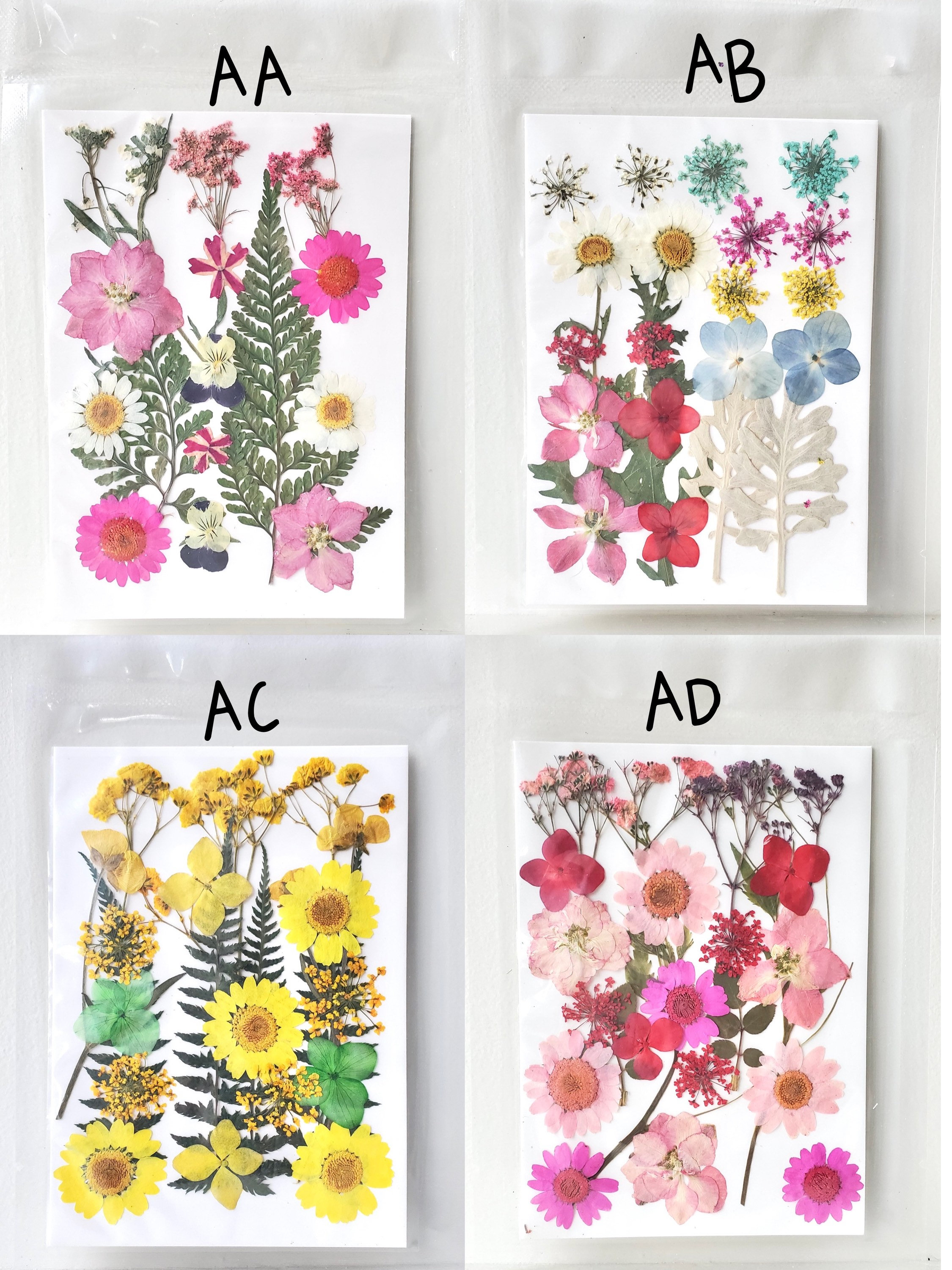 Dried Flowers Daisy Pressed Flowers For Resin Cardmaking pack of 20