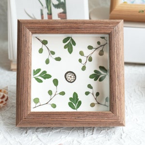 May include: A square wooden frame with a glass front, showcasing a pressed flower arrangement. The arrangement features green leaves and small white flowers, with a small circular object in the center.