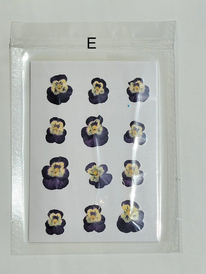 May include: A sheet of pressed, dried purple and yellow pansies, arranged in rows on a white background. The sheet is labeled with the letter "E".