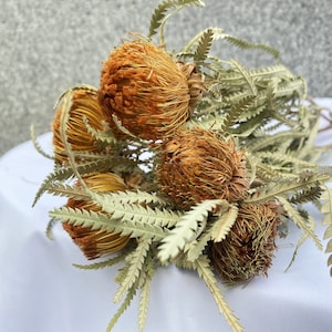 Preserved Natural Banksia Protea Flowers,Dried Flowers, Home Decor, Wedding Flowers, Gifts-5 stems per bundle