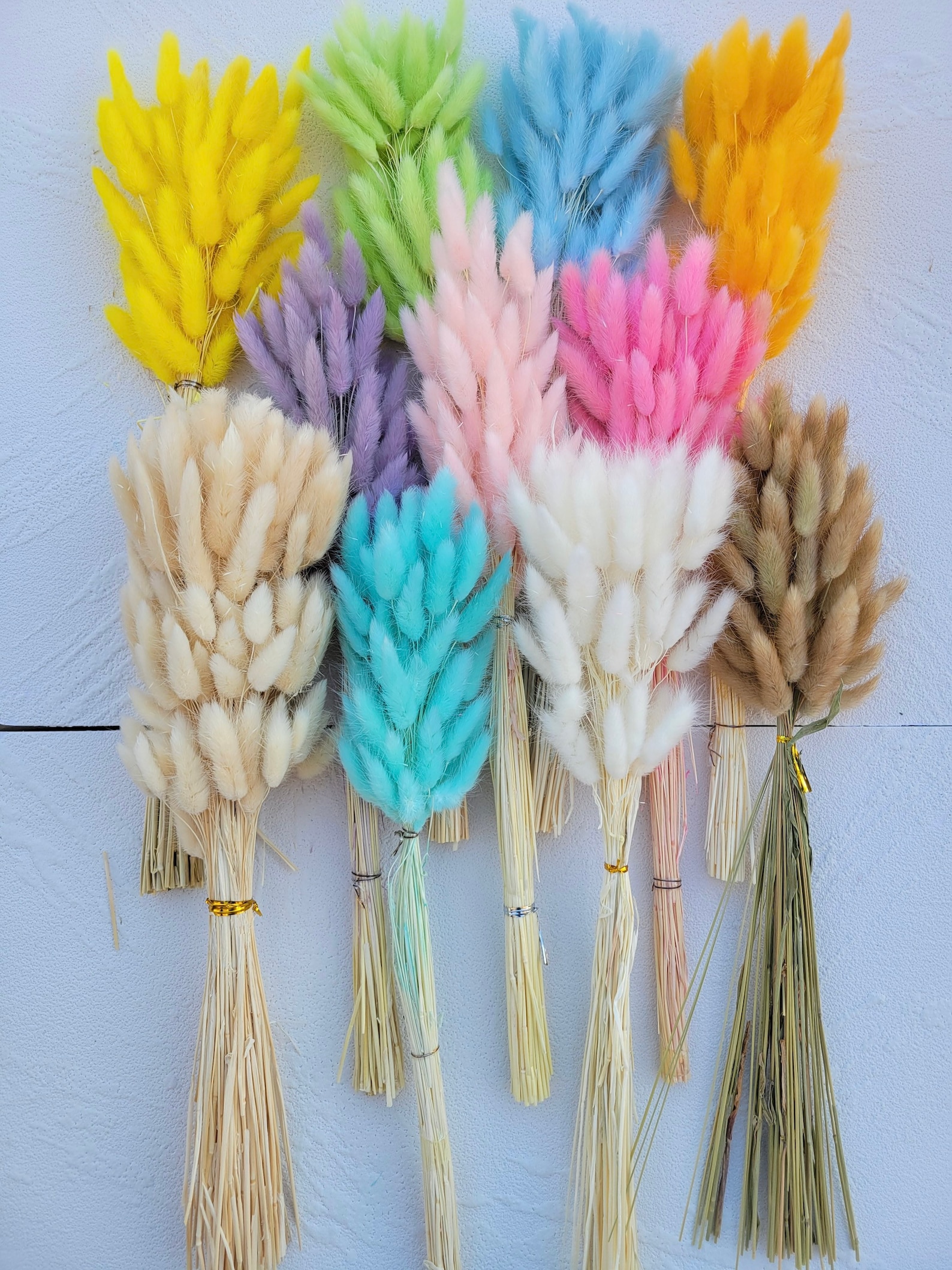 Dried Bunny Tails 60 Pcs Rabbit Grass Stems Lagurus Grass Etsy