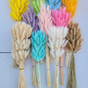 Dried Bunny Tails 60 Pcs - Rabbit Grass Stems - Lagurus Grass- BOHO Wedding Decor- Home Decor