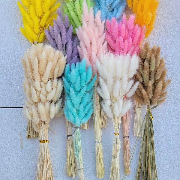 Dried Bunny Tails 60 Pcs - Rabbit Grass Stems - Lagurus Grass- BOHO Wedding Decor- Home Decor