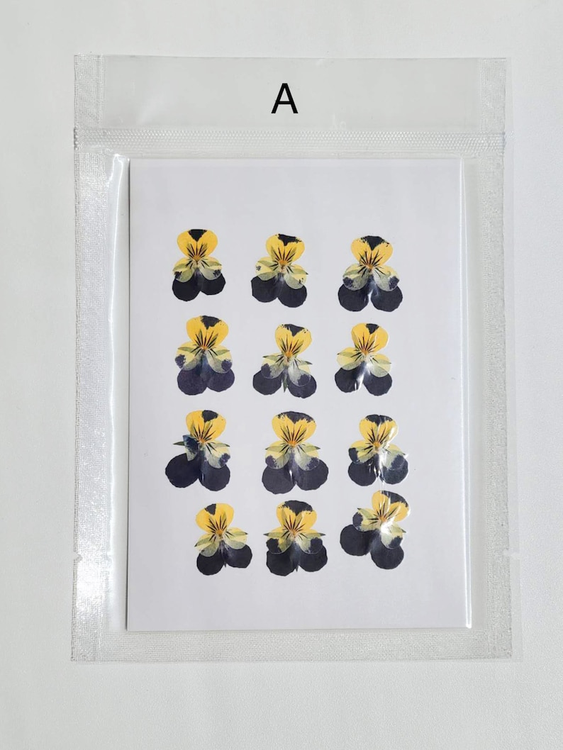 May include: A sheet of pressed, dried yellow and purple pansies, arranged in three rows of four flowers each. The flowers are arranged in a grid pattern on a white background. The sheet is in a clear plastic bag with the letter "A" printed on the top.