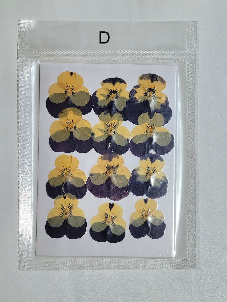 May include: A package containing twelve pressed pansies. The pansies are yellow and purple with a white center. The package is labeled with the letter "D".