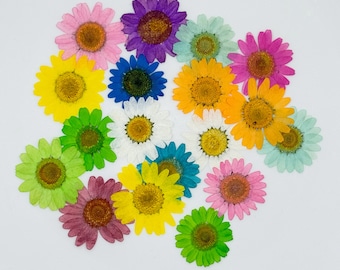 May include: Assortment of pressed flowers in various colors, including pink, purple, yellow, orange, green, and blue. The flowers are arranged in a circular pattern on a white background.