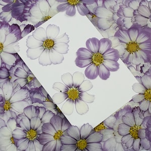 Könnte beinhalten: Eine weiße Karte mit drei gepressten lila und weißen Blumen. Die Blumen sind symmetrisch auf der Karte angeordnet. Die Karte ist von einem Rand aus lila und weißen Blumen umgeben.