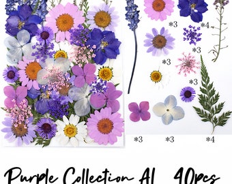 Pressed flowers and leaves| Shades of Purple Collection