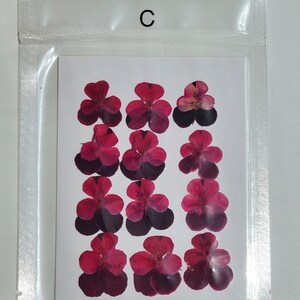 May include: A clear plastic bag with a white card inside. The card has 12 dried red and purple flowers arranged in a grid pattern. The letter "C" is printed on the top of the bag.