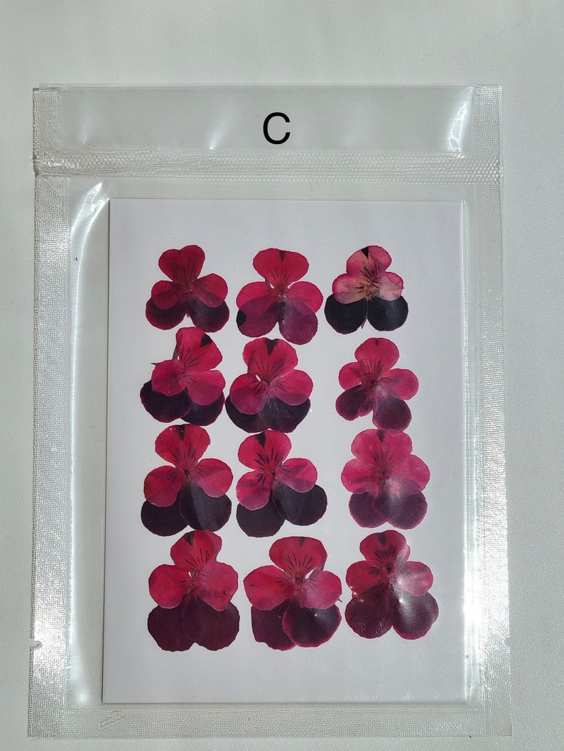 May include: A clear plastic bag with a white card inside. The card has 12 dried red and purple flowers arranged in a grid pattern. The letter "C" is printed on the top of the bag.