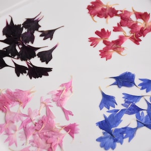 Edible Flowers Collection 4