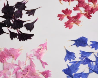 Edible Flowers Collection 4