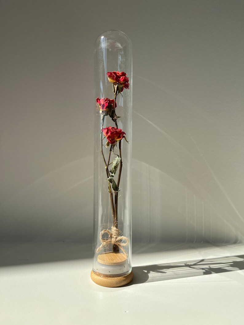 Bloomcheer Glass Dome Dried Flowers Glass Dome Preserved Etsy